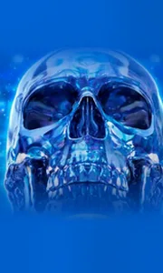 Crystal Skull