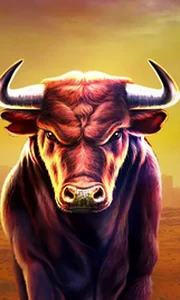 Black Bull