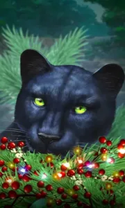 Blue Panther -CE
